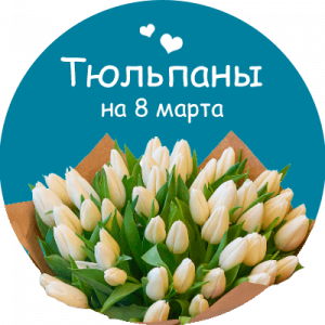 Купить тюльпаны в Моршанске